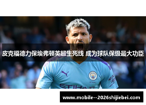 皮克福德力保埃弗顿英超生死线 成为球队保级最大功臣 皮克福德力保埃弗顿英超生死线 成为球队保级最大功臣